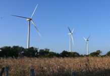 Las defensoras del viento en el Istmo de Tehuantepec