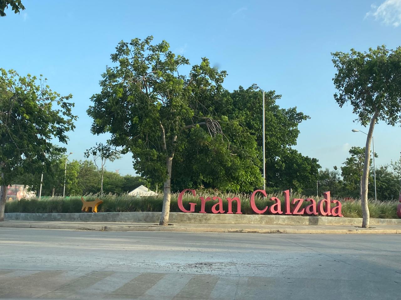 Gran Calzada 6